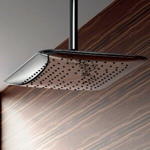 Chrome Effect Shower Head, from BathEmpire. Chrome Effect Shower Head, from BathEmpire.