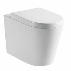 Ladoga Back to Wall Toilet 