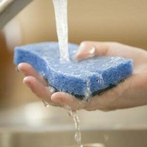 Saving water in the kitchen